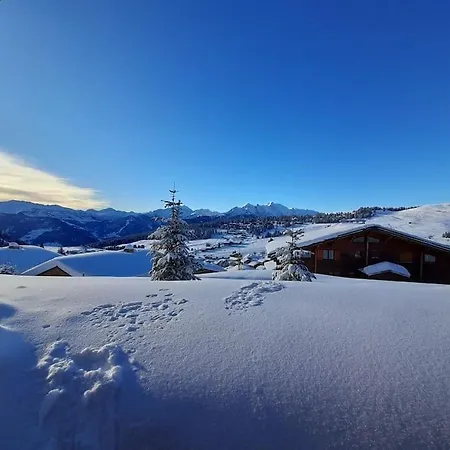 Chalet Les Pinots Horská chata Hauteluce