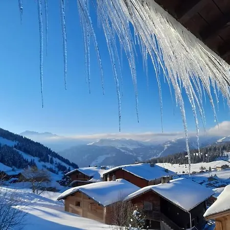 Horská chata Chalet Les Pinots *