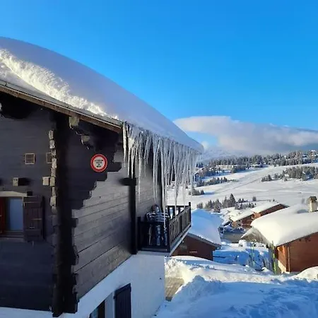 Chalet Les Pinots * Hauteluce